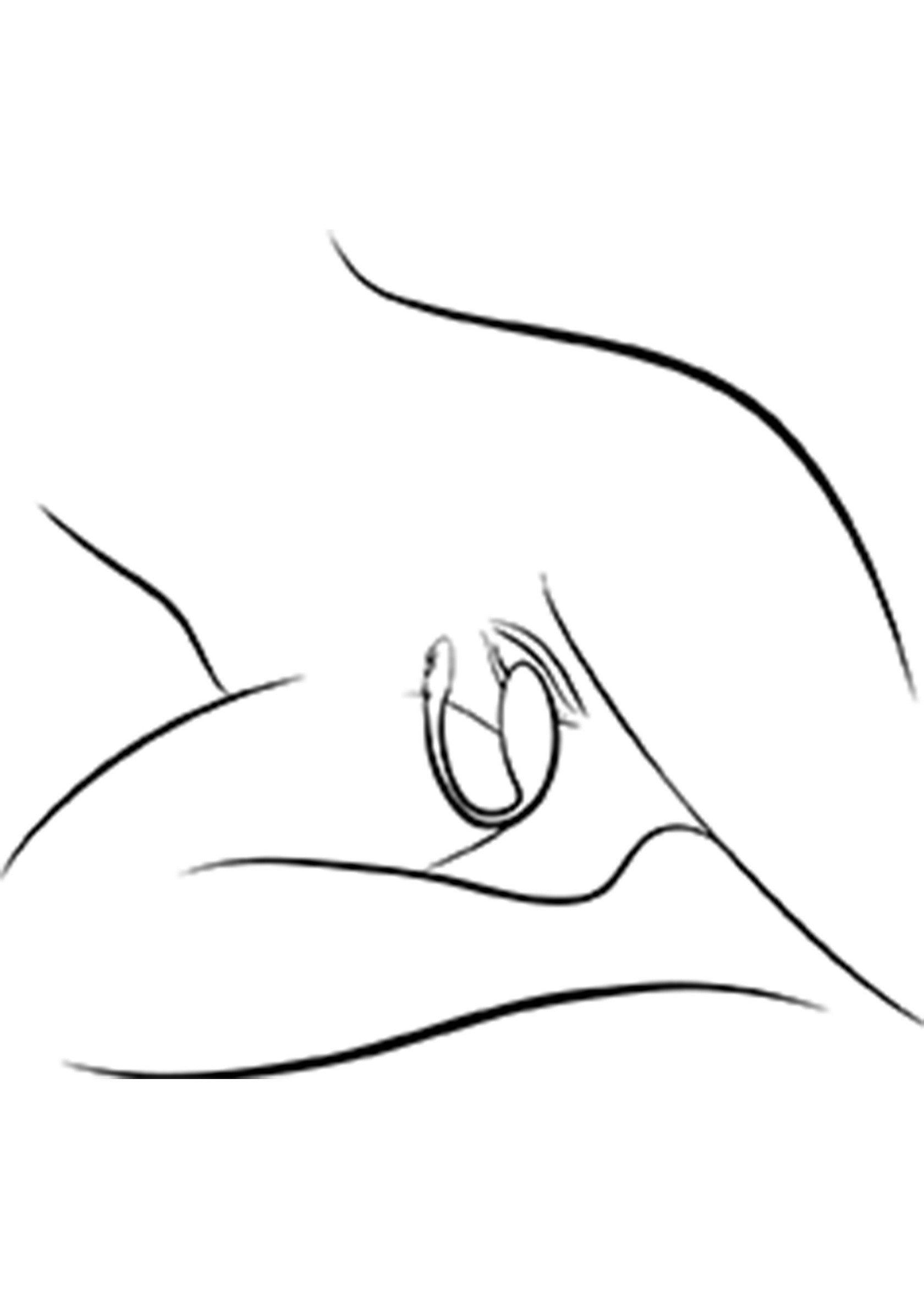 Jive 2 - Afbeelding 7