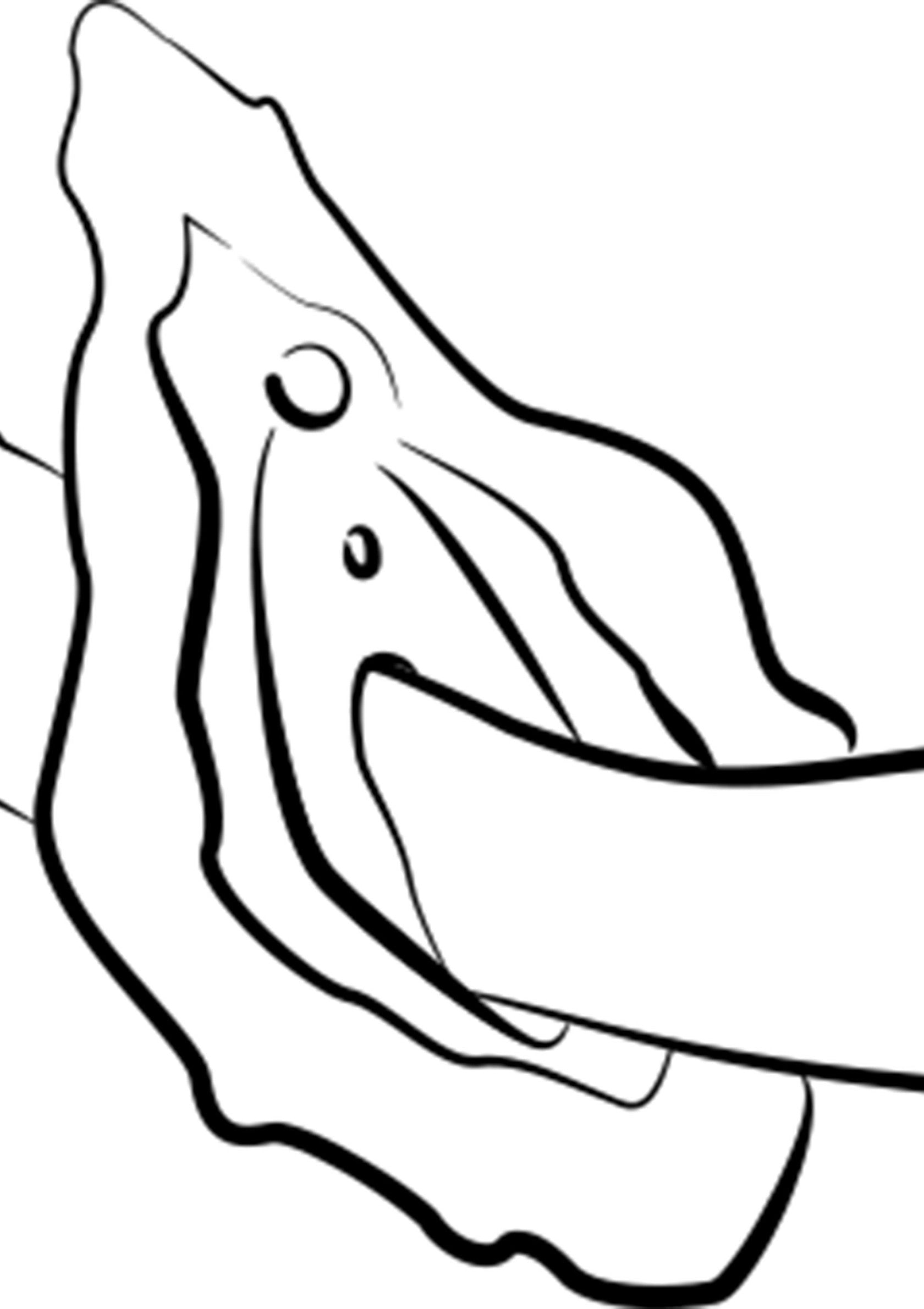 Hype - Afbeelding 11