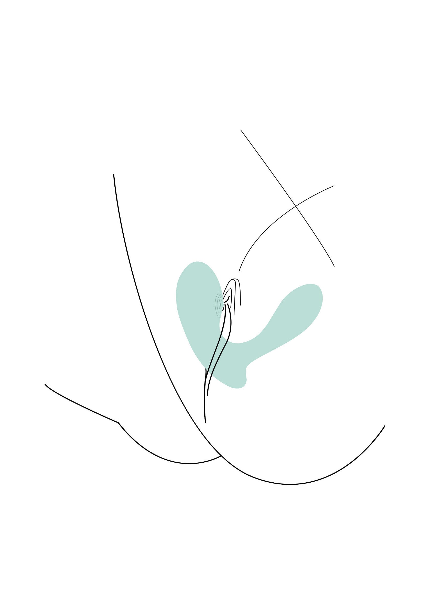 DuoVibe II Tapping Vibrator - Afbeelding 6