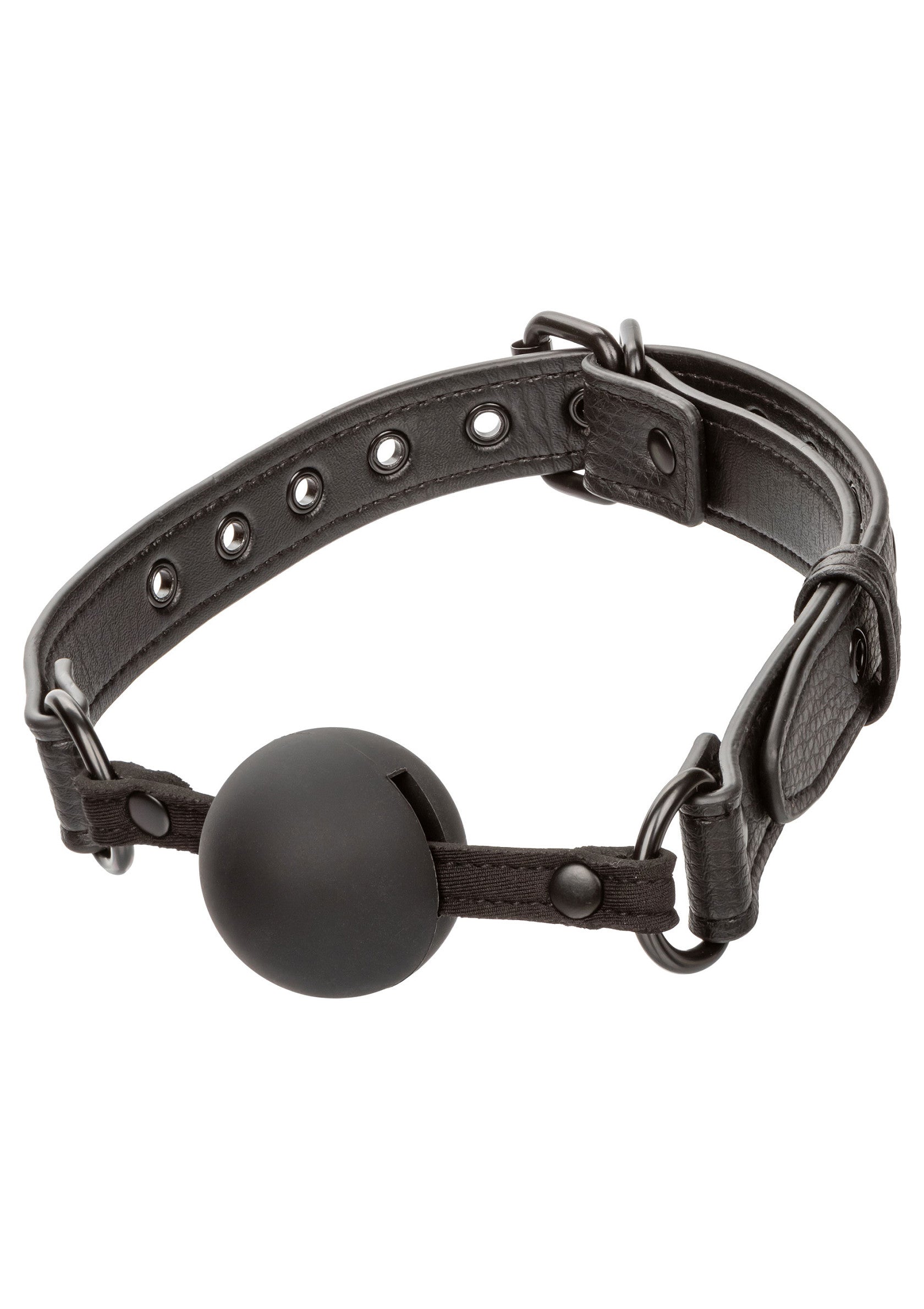 Nocturnal Ball Gag