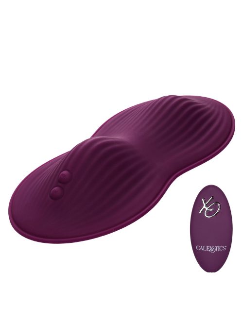 Remote Control Dual Rider