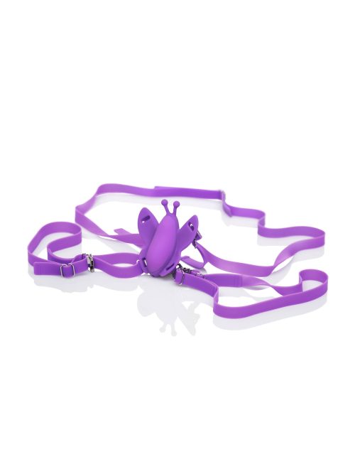 Remote Wireless Butterfly