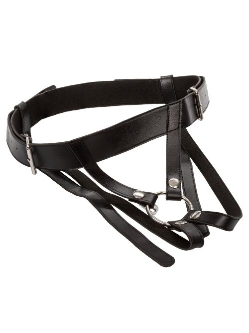 Premium Ring Harness