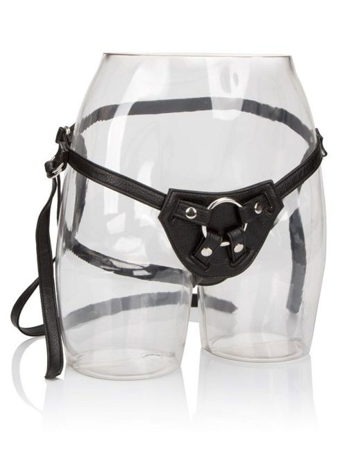 Her Royal Harness The Countess