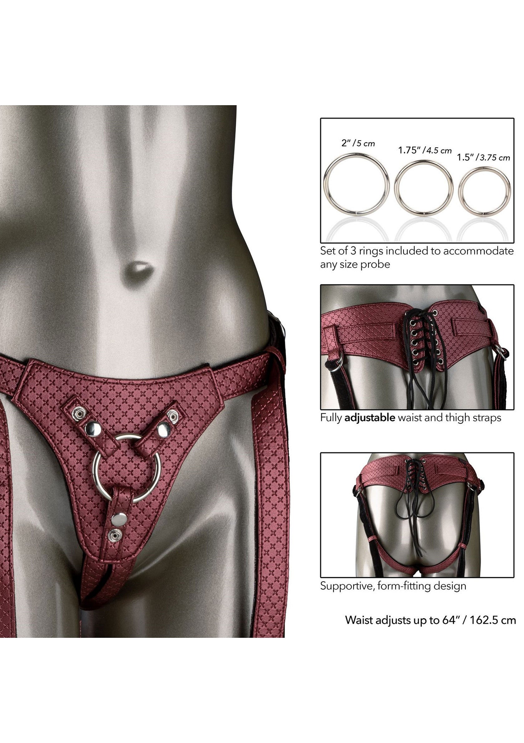 The Regal Queen - Afbeelding 5