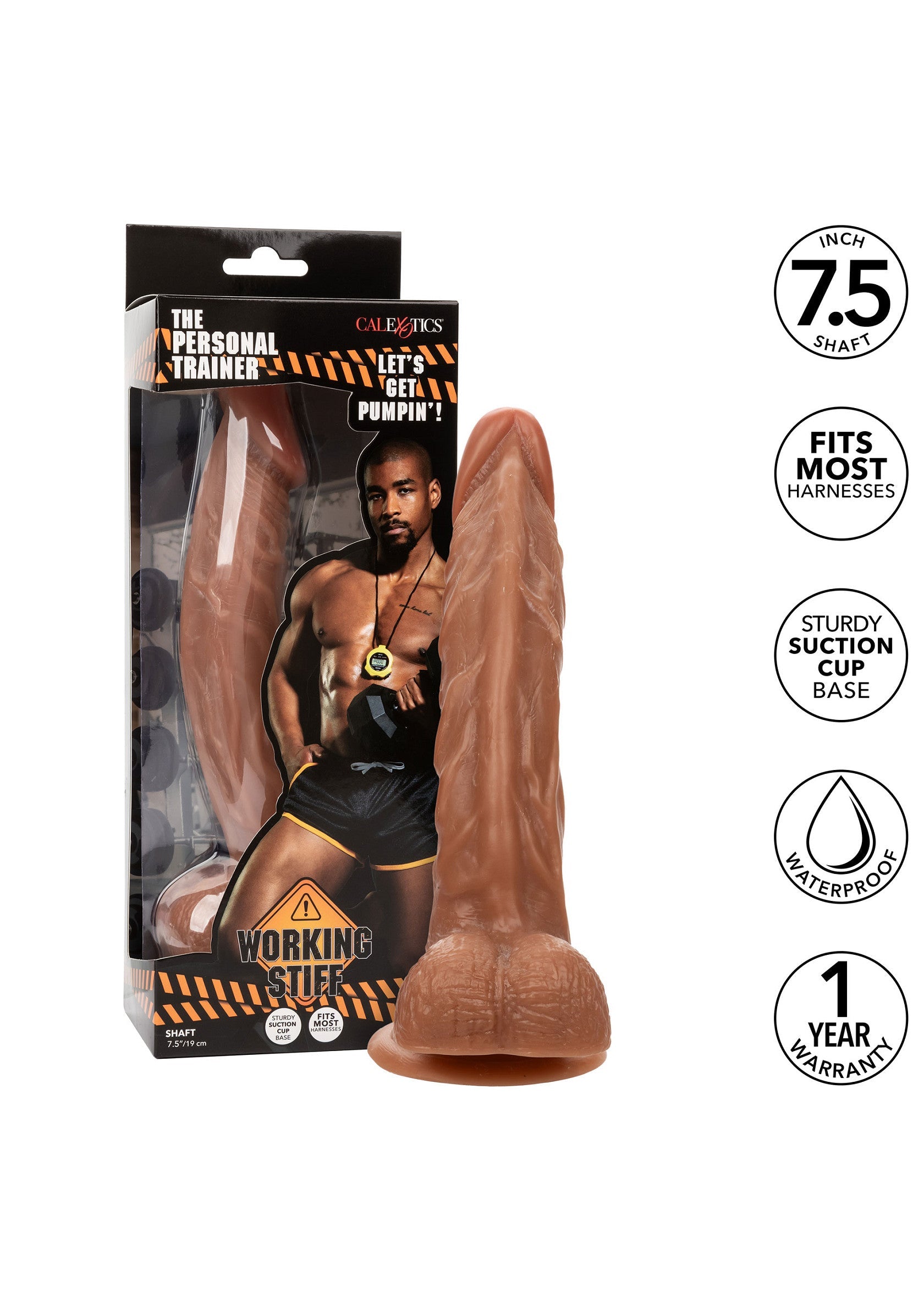 Working The Personal Trainer - Afbeelding 7