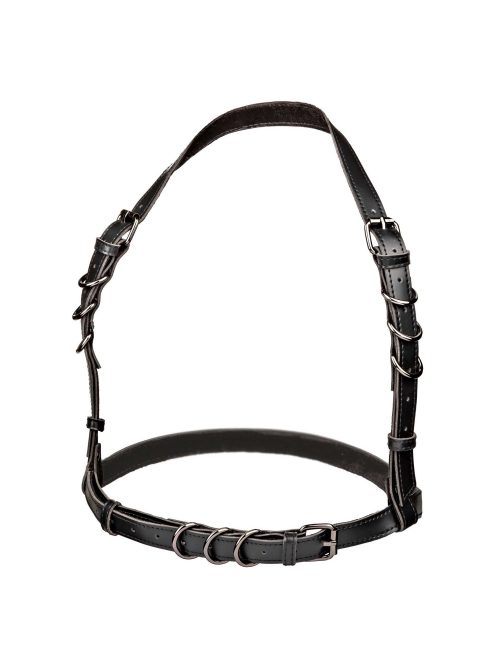 Halter Buckle Harness Plus