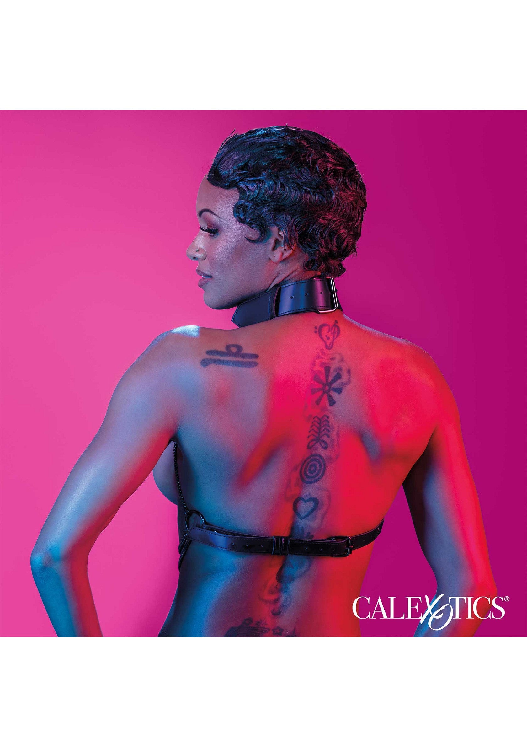 Chain Collar Harness - Afbeelding 5