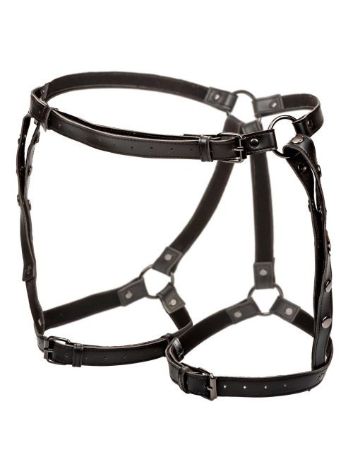 Riding Thigh Harness Plus