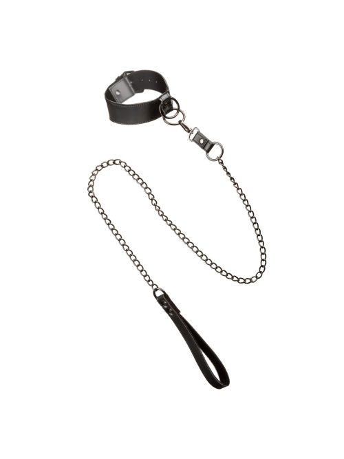 Collar With Chain Leash