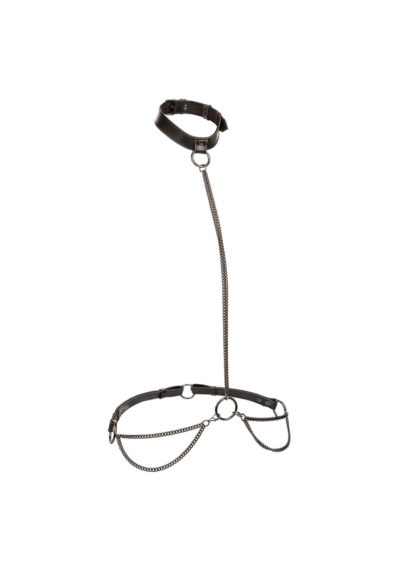 Chain Halter & Collar Plus