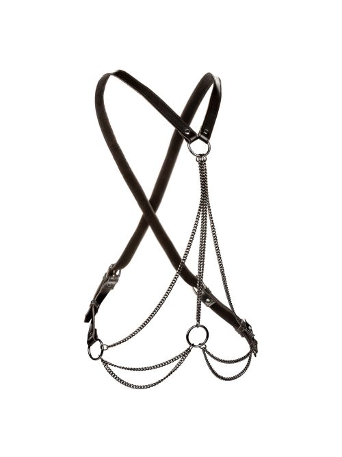 Multi Chain Harness Plus