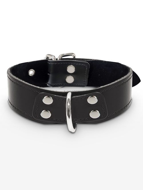Elegant D-Ring Collar