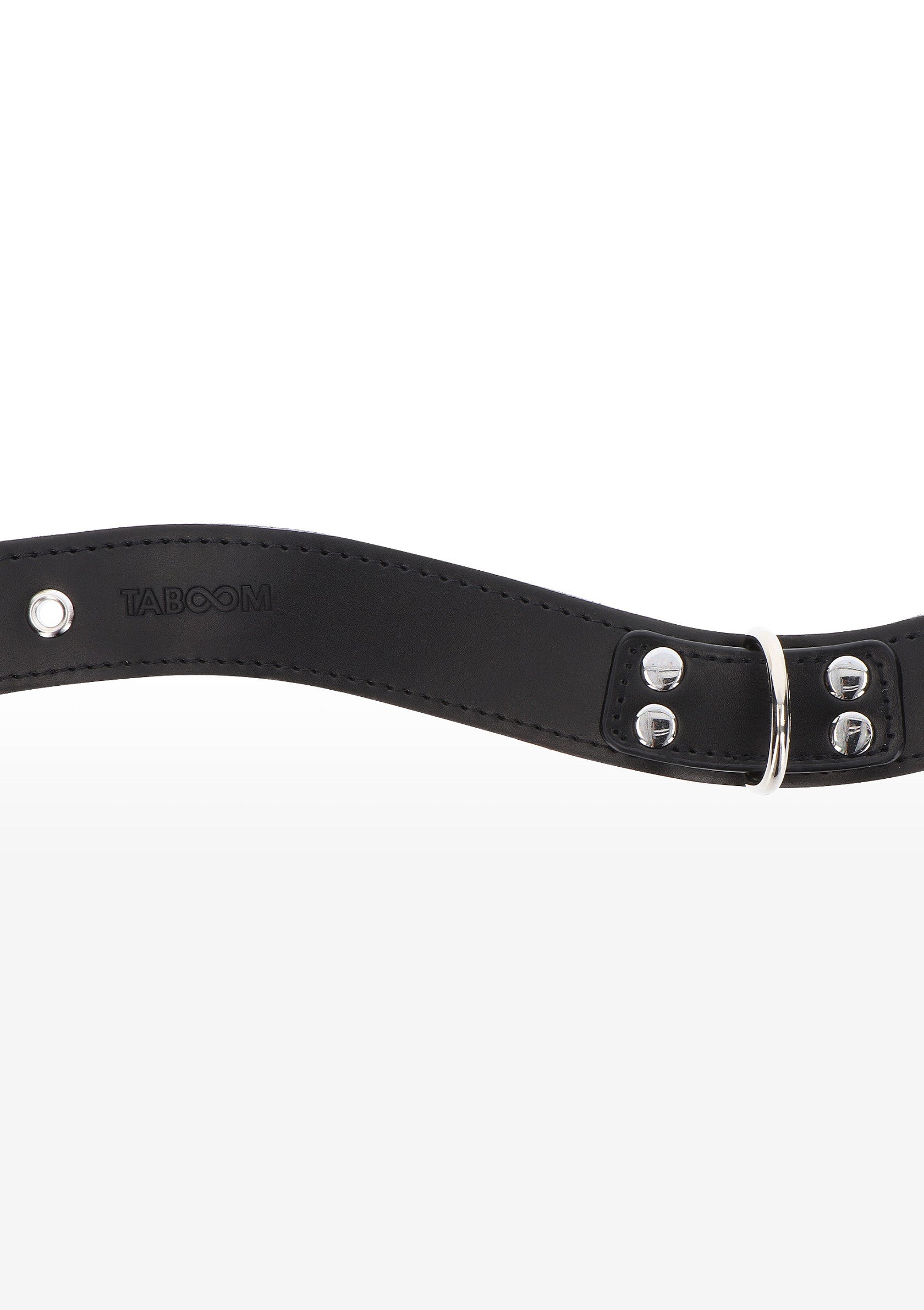 Elegant D-Ring Collar - Afbeelding 5