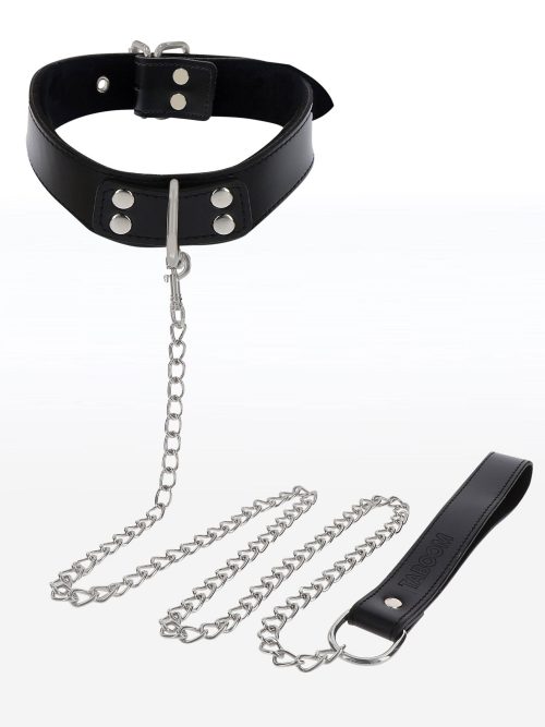 Elegant Collar and Chain Leash