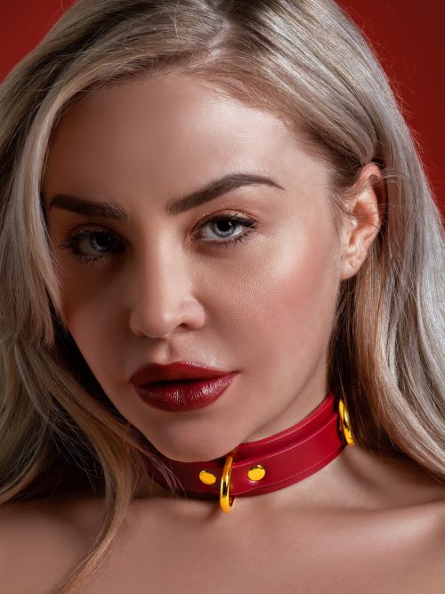 D-Ring Collar Deluxe