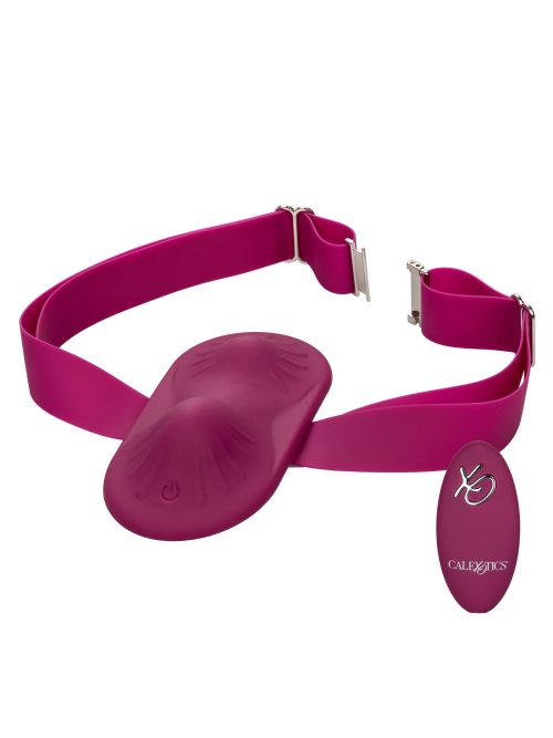 Remote Control Grinder