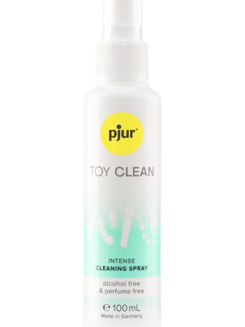 Toy Clean Intense Cleaning Spray 100 ml