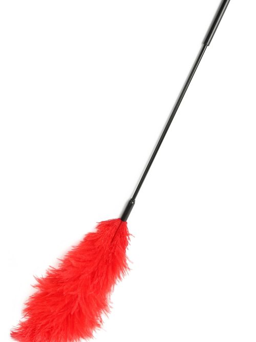 Double Feather Tickler