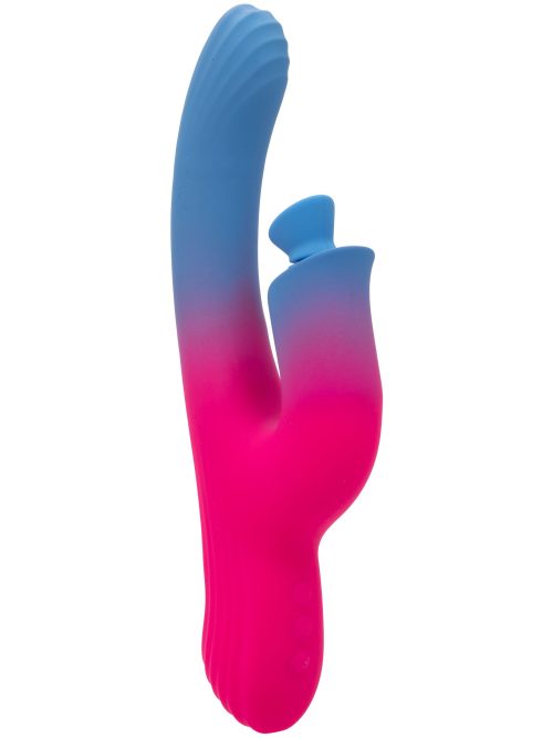Dual Stimulator Suction Vibrator